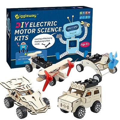 SainSmart Jr. 4-in-1 STEM Kits, Wooden Robot Assembly Toy Set, Woodworking  Crafts Projects for Kids, Gift for Boys and Girls