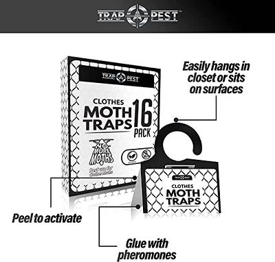 MaxGuard Pantry Moth Traps (24 Pack) with Extra Strength Pheromones, Non-Toxic