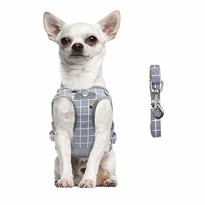 PUPTECK Adjustable Pet Harness Collar and Leash Set for Small Dogs Puppy and Cats Outdoor Training and Running, Soft Mesh Padded Reflective Vest