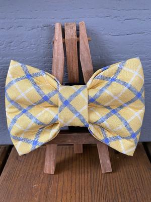 Yellow & Blue Plaid