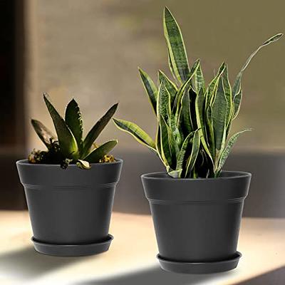 Plant Pots with Drainage Holes, Greaner 6inch Round Plastic Planters,  Mordern Matte Black Cactus, Flower, Succulents