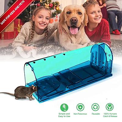 Humane Catch and Release Indoor Outdoor Mouse Traps Pack of 2 Easy Set  Durable Traps Safe for Children Pets and Humans Instantly Remove Unwanted  Vermin from Your Home 