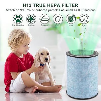 Air Purifier Filter H13 True HEPA And Activated Carbon Filter