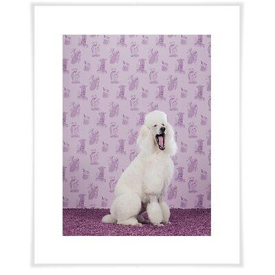 The Dog Dicer | Photographic Print