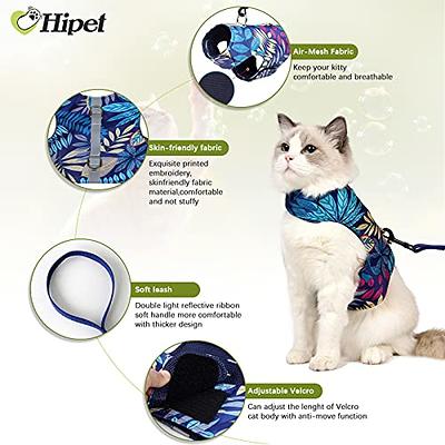 Pet Supplies : Cat Harness with Leash Set Hawaiian Adjustable Vest Harness  Outdoor Walking Escape Proof for Cat Kitten (S, Blue) 