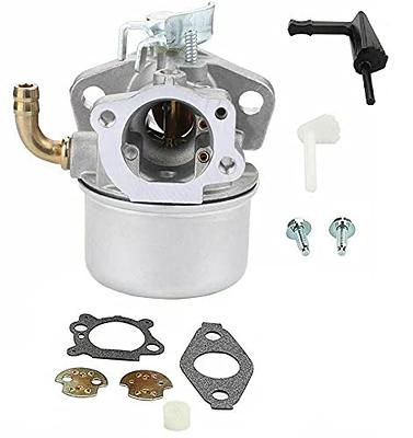  Wellsking 498298 Carburetor for Briggs and Stratton