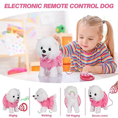 Robot dog DOGGY, dachshund, kid toy, remote control + following