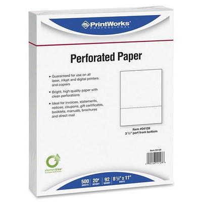 A4 Size Premium Printer Paper - Great for Printing Professional Documents -  21 lb - 8.3 x 11.7 (100 Sheets, White)