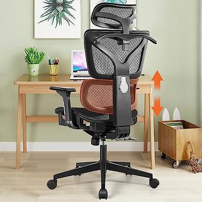 Ergonomic High Back Computer Desk Chair Headrest Lumbar Support