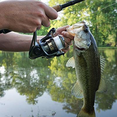 Cadence Ideal Spinning Reel, Super Smooth Fishing Reel with 10 + 1 BB for  Freshwater, Durable and Powerful Reel with 30LBs Max Drag & 6.2:1, Great  Value& Tuned Performance (Ideal-1000) : 