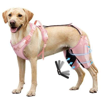 Dog Knee Brace for Torn ACL Hind Leg-Upgraded Dog Leg Brace for Cruciate  Ligament Injury,Adjustable Support for Joint Pain,Muscle Soreness,Knee Cap