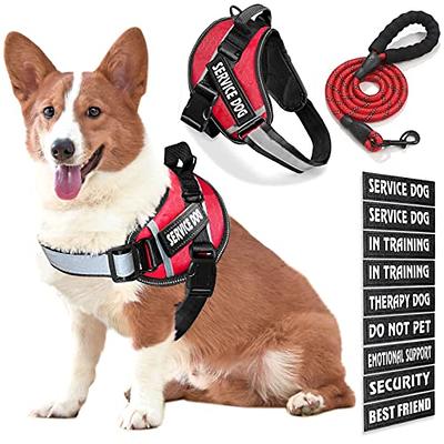 Dog Vest Harness and Patches Set, Animire in Training Service Dog Harness  with 8 Dog Patches, Reflective Dog Vest with Handle for Small, Medium,  Large, and Extra-Large Dogs - Yahoo Shopping