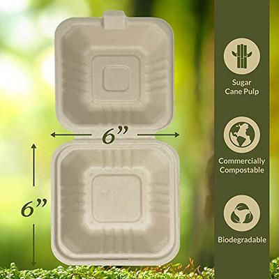 Enviro Safe Home Compostable Disposable Plates 5 Compartments - 50 Pack -  Eco Friendly Bamboo Plates Heavy Duty, Biodegradable, Microwavable, Oven