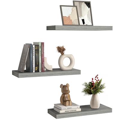 TOLEDO 36 Long Floating Shelves for Wall Storage, Floating Bookshelf, Wall  Shelves for Living Room - Set of 3