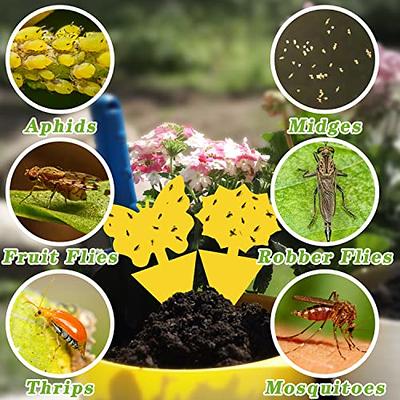 Garsum Sticky Trap,Fruit Fly and Gnat Trap Yellow Sticky Bug Traps for Indoor/Outdoor Use - Insect Catcher for White Flies,Mosquitos,Fungus Gnats