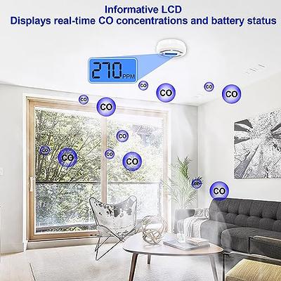 Detector CO LCD Display