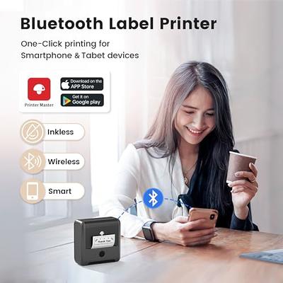 Niimbot B21 Label Printer Wireless Bluetooth Thermal Label - Temu