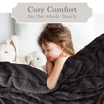 The Connecticut Home Company Soft Fluffy Warm Shag and Sherpa Throw  Blanket, Luxury Thick Fuzzy Blankets for Home and Bedroom Décor, Comfy  Washable
