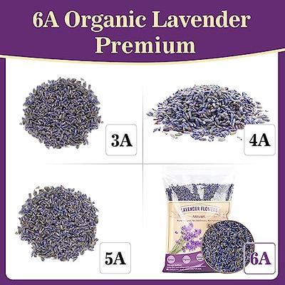 Cedar Chips and Lavender Sachets - Moth Repellent & Home Fragrance Sachets  (20