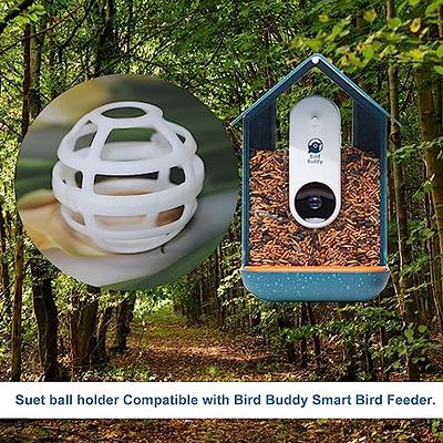 Deluxe Double Perch Add-on With Screw Mounts for Suet Ball & Bird Buddy  Bird Feeder Does Not Include Suet Ball Holder or Bird Buddy 