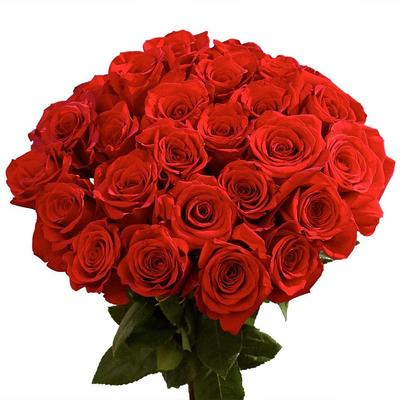 Larksilk 8 in. Artificial Orange Silk Rose Flower Picks (50 Pack) - Yahoo  Shopping