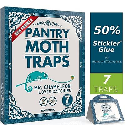 12 Pack Pantry Moth Traps - Safe and Effective for Food and Cupboard - Glue  Traps with Pheromones for Pantry Moths - Trap a Pest