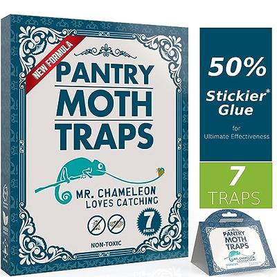 6 PACK STICKY MOTH TRAP ECO FRIENDLY FOR CLOTHES closer storage safe no  poison