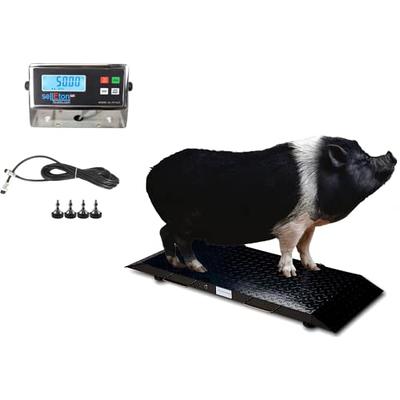 Animal Weighing Scale