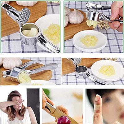 1pc Multifunctional Stainless Steel Garlic Press - Easy Manual Garlic  Mincer, Slicer, Dicer, and Grater for Kitchen Tools