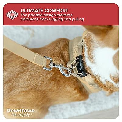 Air Frontier Mesh Dog Harness with and Reflective Dog Leash Set, Reflective Stitching, and Lightweight Breathable No-Pull Design, Adjustable Neck