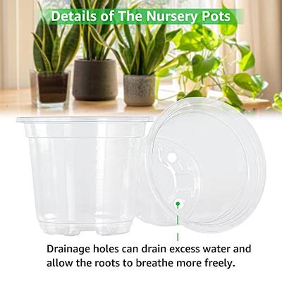  Brajttt 2.5 Inch Succulent Pot with Drainage,Planting/Flower  Pots,Small Planter for Mini Plant Ceramic Flowing Glaze Base Serial Set  with Holes : Patio, Lawn & Garden