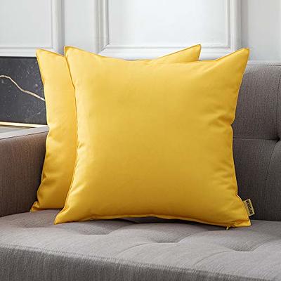 MIULEE 18x18 Pillow Inserts Set of 2, Square Decorative Throw