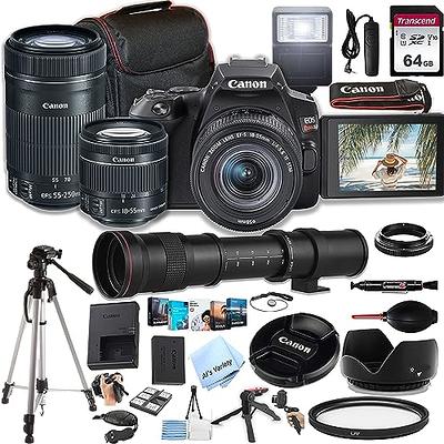 Canon 250D + 18-55mm f/4-5.6 IS STM - 2 Year Warranty - Next Day Delivery