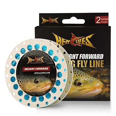 M MAXIMUMCATCH Maxcatch Best Price Fly Fishing Line (Weight Forward,  Floating) and Fly Line Combo with Backing Leader and Tippet