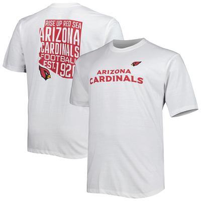 Men's Tampa Bay Buccaneers Fanatics Branded White Big & Tall Hometown  Collection Hot Shot T-Shirt