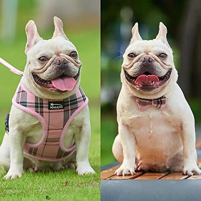 Dog Harness and Leash Set for Small Dogs, Adjustable Reflective No Pull Dog  Vest Harness for Puppy with Bow-tie Collar, Leash and Poop Bag (S, Pink