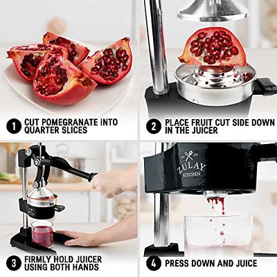 Super Juicer Easy Squeezer - Fruit Juicing Oranges, Lemons, Limes More  Quickly & Efficiently Hand Juicer - Heavy Aluminum - Easy to Clean -  Plastic Filter Plus Filter Bags for Seed 