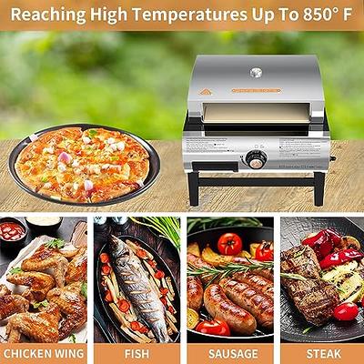 Duke Grills Omaha Go Anywhere Portable Gas Grill - Mini BBQ Propane Grill  for Camping, RV, Tailgate - Cooks 8 hamburgers at once - Long Life Steel 