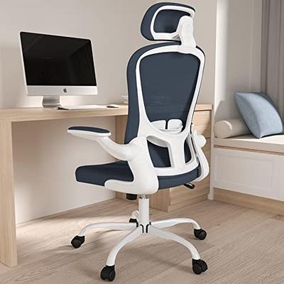 CLATINA Office Chair Ergonomic Rolling Computer Desk Chair with