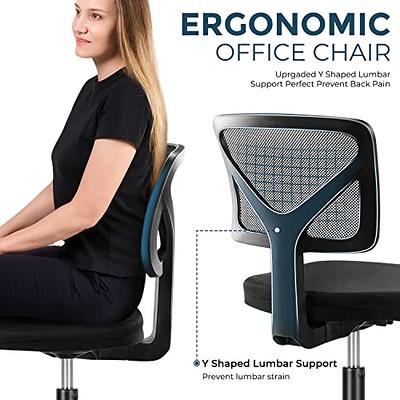 Ergonomic Office Chair With Adjustable Lumbar Support – Huanuo