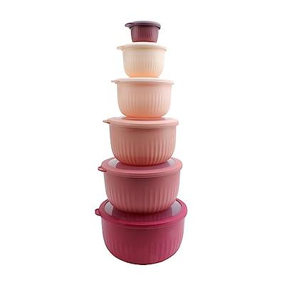 Chef Buddy 20 Piece Glass Bowl Set with Lids