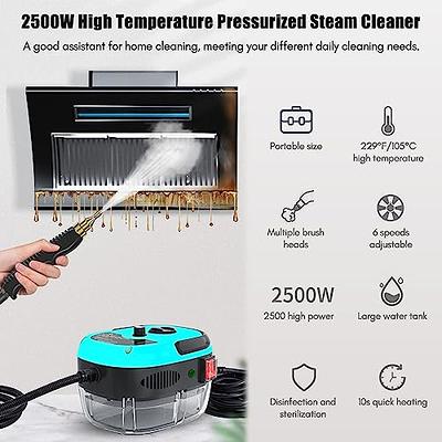 WICHEMI Steam Cleaner Steamer for Cleaning, 2500W High Pressure Steam  Machine High Temperature Handheld Steamer for Car Detailing Portable Steam