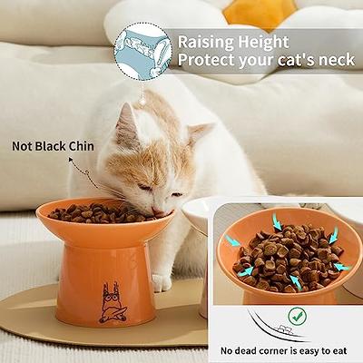 Elevated Cat Bowls, Bowls With Stand, Raised Cat Food Kitten Bowl, Ceramic  Best - Yahoo Shopping