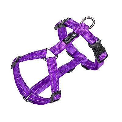 Chew King Novice Dog Park Agility Course Kit