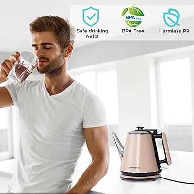 Bsigo Gooseneck Electric Kettle with Thermometer, 100% Stainless Steel for  Pour-over Coffee & Tea Kettle, BPA Free, Auto Shut off Anti-dry Protection