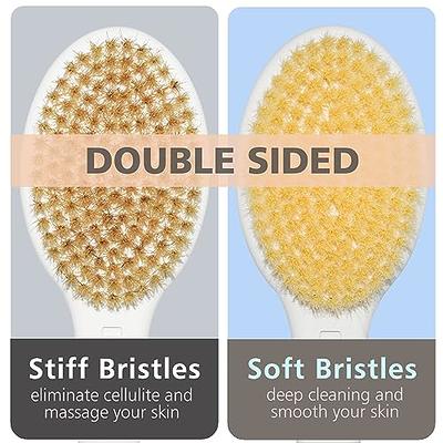 Shower Brush with Soft and Stiff Bristles, Bath Dual-Sided Long Handle，for  Wet or Dry Brushing