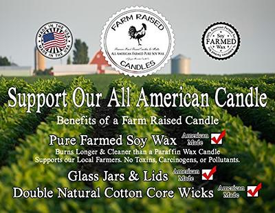 Scented Non Toxic Wax Melts - 2 Pack Combo - 16 Cubes - 100% All American  Made - by Farm Raised Candles - Natural American Farmed Soy Wax (Rain Water  & Eucalyptus Rain) - Yahoo Shopping