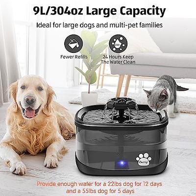 74oz/2.2L Automatic Pet Water Fountain Dog Water Dispenser, Stainless Steel  Cat Water Feeder