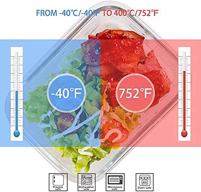  S SALIENT 18 Piece Glass Food Storage Containers with Lids,  Meal Prep Containers for Food Storage, BPA Free & Leak Proof (9 lids & 9  Containers): Home & Kitchen