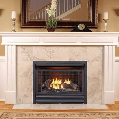 ProCom 26,000 BTU Vent Free Dual Fuel Propane and Natural Gas Indoor  Fireplace Insert with T-Stat Control 170082 - The Home Depot